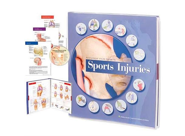 Anatomical Visual Guide To Sports Injuries