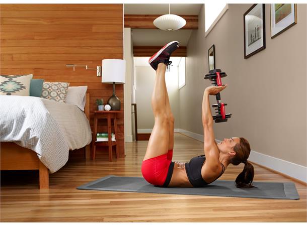 Bowflex SelectTech 552i 2-24 kg