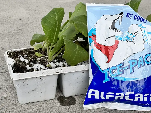 AlfaCare Ice-Pack Norskprodusert ispose 