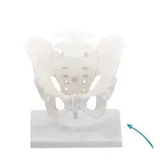 Stativ Til Ryggs&#248;yle