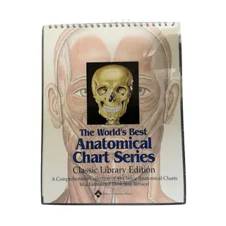 Anatomical Chart Series Hvit 48 Sider