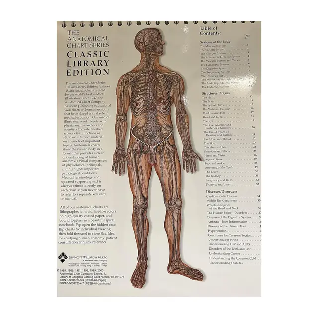 Anatomical Chart Series Hvit 48 Sider 