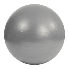 Mambo Max Gymboll 95 cm Silver