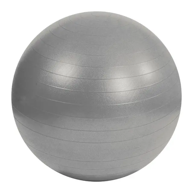 Mambo Max Gymboll 95 cm Silver 
