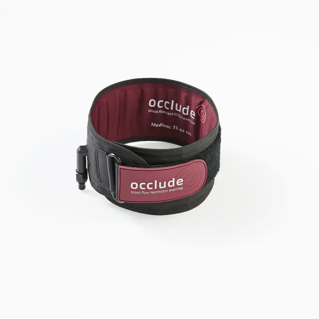 Occlude Rehab 