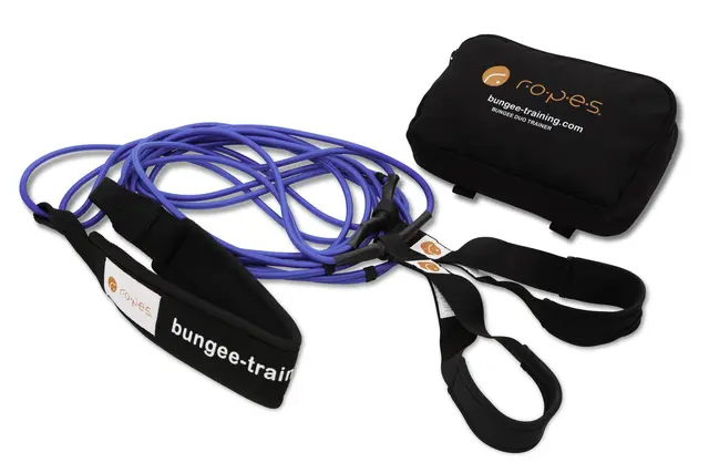 Ropes Bungee Duo Trainer Medium Lett brukt | Nedsatt pris 