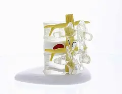 Prolaps skive Simulator Model 4400