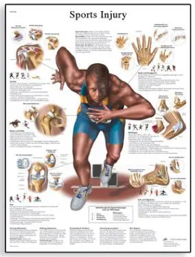 Plakat Sportsskader 50x67 cm Laminert